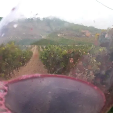 Carpe Diem Guest house