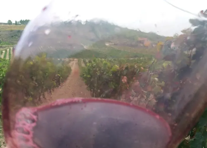 Carpe Diem Guest house