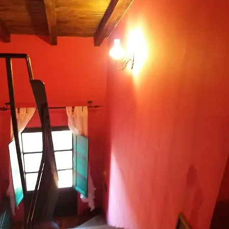 Carpe Diem Navaridas